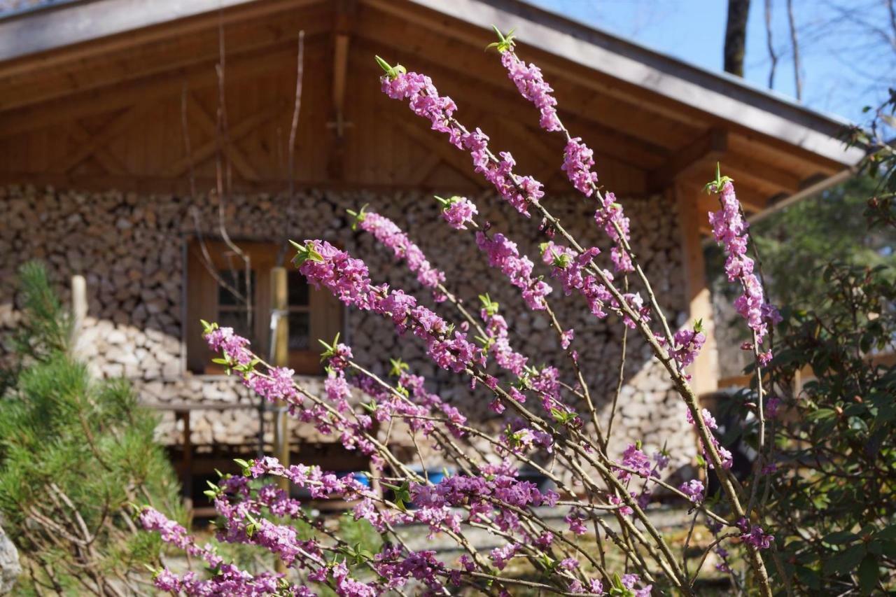 Ferienhaus Waldwinkl Hotel Grainau Buitenkant foto
